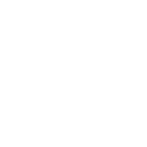 Zion Lions